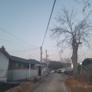 용유로L 이미지