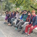 토이포이 이미지