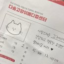 문현동물병원 | 다솜동물메디컬센터 문현 고양이 설사 약처방 후기
