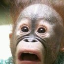 박앤박의원 이미지