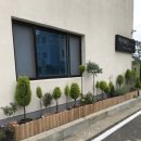 어서와현 이미지