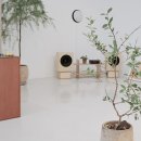 카페 엘엘엘 이미지