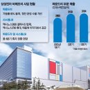 신호탄 매일경제