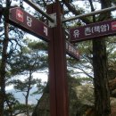 유천리 삼거리 이미지