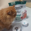 세븐유통 - 전주시 완산구 | 고양이 기호성 좋은 사료 인디고 세븐 인도어 팻다운 급여후기