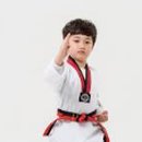 현대 태권도 체육관 이미지