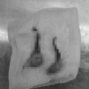 스마일동물병원 이미지