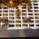 동춘농장 이미지