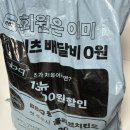 헤트라스 칫솔 후기｜유튜브 광고 보고 샀는데 디자인까지 예쁜 가성비 칫솔 추천