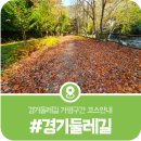 경기둘레길 가평20코스 | 경기둘레길 제20코스 가평구간 코스안내, 낙엽으로 뒤덮힌 경기산길 트래킹
