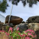 산모음 민박 이미지