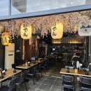 6234 | 사쿠라테이엔 판교본점 분당 판교 맛집 독도새우 모듬사시미 후기