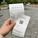 순천만습지 | 순천 여행 필수 코스! 순천만국가정원, 순천만습지 후기(순천 관광지 통합입장권)