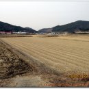 삼웅2리마을회관 이미지