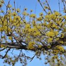 바우길 6구간 이미지