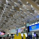 아이오라운지 | 김포공항 대한항공 비즈니스 라운지 & 제주행 A330 프레스티지석 솔직 후기 (아기랑 함께 이용 꿀팁까지!)