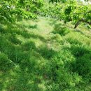 인선농장 이미지