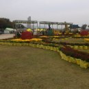 동백호텔 이미지