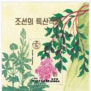 국수나무 이미지