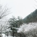 캠핑장펜션 이미지