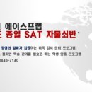 에이스인턴십