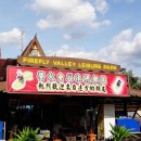 칠리농장 이미지