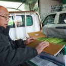 상주원예영농조합법인 이미지