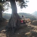 해송커플펜션 이미지