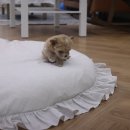 미스터브리더 이미지