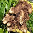 오장농장 이미지