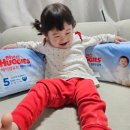 성은어린이집 | 가성비 여름기저귀 하기스 추천 매직컴포트 썸머 후기