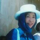 정영숙 카카오 검색결과