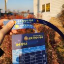 달맞이 | [국내행사]2026 병오년 정월대보름"평택 달맞이 축제" 후기