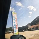 영동식당 | 충북 영동 올뱅이국밥 맛집 안성식당(메뉴, 가격, 후기)