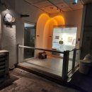 아르밤 펫 이미지