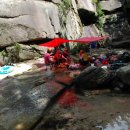 의정부농협고산하나로마트 이미지