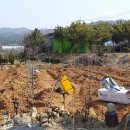 용우농장 이미지