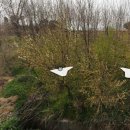 아남농장2 이미지