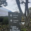 엘리시안CC | 제주 엘리시안cc 대중제 코스 라운드 후기