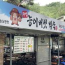 돌담집 이미지