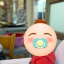 갈삼구이 | 부산 명지 갈삼구이 맛집, 식객 허영만의 백반 기행에 출연한 선창갈미조개 내 돈 내산 후기