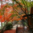 상동역2번출구 이미지