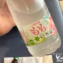 대마도 여행을 마치면서 부산여객터미널로 쓰시마<b>링크</b><b>타고</b> 복귀