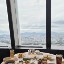 해인 | 해인감비환 3개월 후기 정체기 뚫기 꿀팁