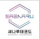 새나루 태권도 이미지