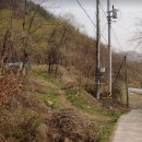 여주-0176 Daum카페