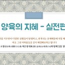 양육의 지혜 실전편 후기 및 지속성 아이들 특징 정리 (feat. 육아고민? 기질육아가 답이다)