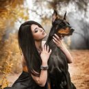 DOBERMAN Daum카페