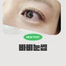 바비 | 청주시속눈썹 잘하는집 바비눈썹 리얼후기