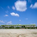 친구와 돌담길 이미지